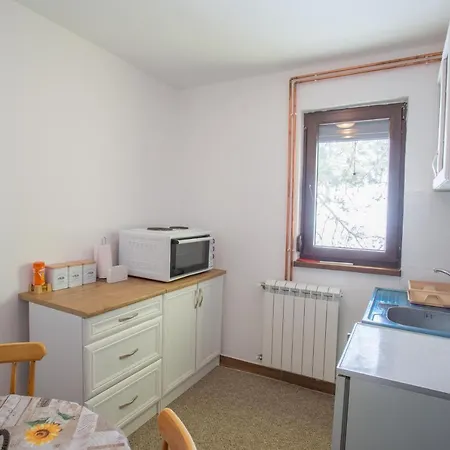 Planinska Kuca Petkovic *